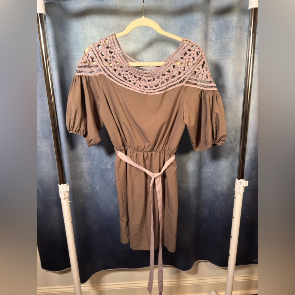 Brown Dress with Detail